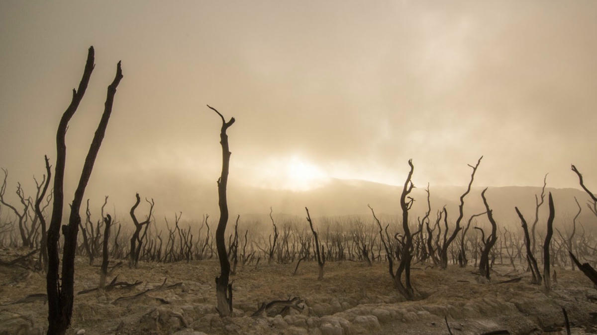 AREVATEM/ Gezegenin gidişatı ve 'Antroposen': Yeni bir jeolojik çağ